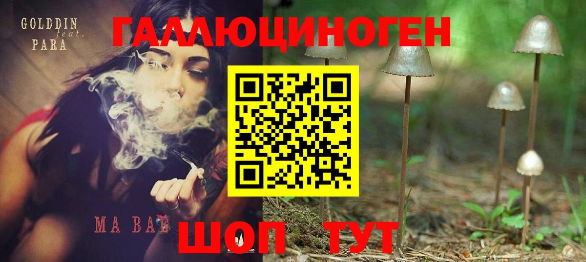 Нововоронеж  где продают наркотики  Вход с VPN  Галлюциногенные грибы ЛСД 