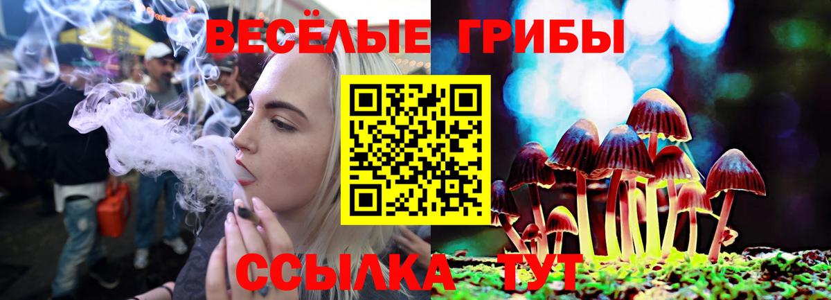 Галлюциногенные грибы Magic Shrooms Нововоронеж